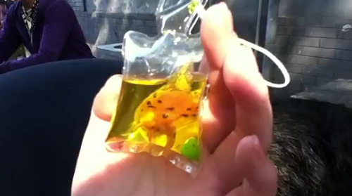 Chine : des animaux vivants vendus et utilisés comme porte-clés (VIDEO)