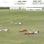 Des joueurs attaqués par des abeilles en plein match ! (VIDEO)