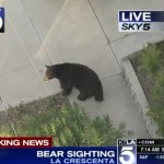 Un homme se retrouve nez à nez avec un ours ! (VIDEO)