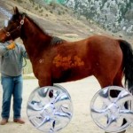 Freddie Wong – Pimp My Horse (VIDEO)