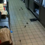 Paris : les souris envahissent le Quick de Belleville ! (VIDEO)