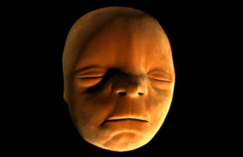 La formation du visage d’un bébé dans le ventre de sa mère (VIDEO)