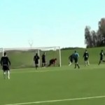 Foot : l&rsquo;incroyable sauvetage d&rsquo;un gardien de but (VIDEO)