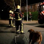 Le chien pompier (VIDEO)