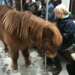 Elle prend le métro avec son poney (VIDEO)