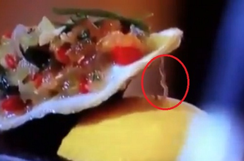 Top Chef : un ver s’échappe d’une huître (VIDEO)