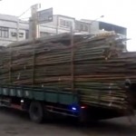 Décharger 3 tonnes de bambous en moins d&rsquo;une minute (VIDEO)