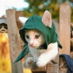 Assassin&rsquo;s Creed version chat (vidéo)