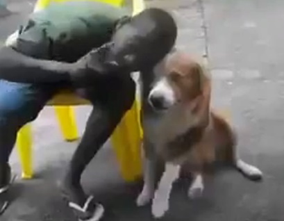 Faire un bisou à un chien qui n’est pas le sien : non ! (Vidéo)