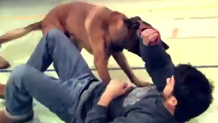 Comment sauver quelqu’un d’une attaque de chien (vidéo)