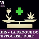Cannabis, la drogue douce dont l&rsquo;hypocrisie dure (vidéo)