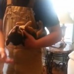 Ce chihuahua est trop fort pour faire le mort ! (vidéo)