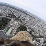 Découvrez Paris sur le dos d&rsquo;un aigle (vidéo)