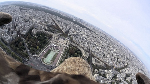 Découvrez Paris sur le dos d’un aigle (vidéo)
