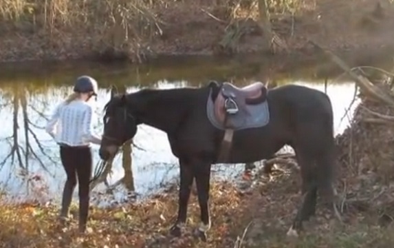 Ce cheval entre dans l’eau pour la première fois (vidéo)