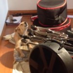 Un chien chante du blues ! (vidéo)