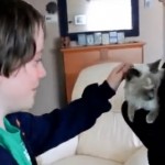Retrouvailles émouvantes entre des enfants et leur chat ! (vidéo)