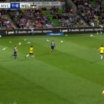 Des mouettes envahissent un terrain de foot ! (vidéo)