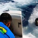 Des pêcheurs se font racketter par une otarie (vidéo)