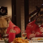 Des animaux partagent un repas de Noël (vidéo)