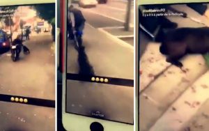 Un mec de banlieue traîne un chien vivant derrière son scooter (vidéo)