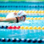 Natation : six records du monde battus à Berlin