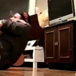 Son chat lui fait tomber une tv sur la tête (VIDEO)