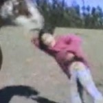 Un cheval se venge d&rsquo;une petite fille qui le frappe (VIDEO)