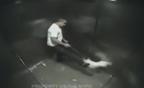 Un « homme » frappe violemment un chien dans un ascenseur (VIDEO)