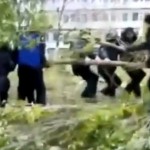 Un policier se fait catapulter par une branche d&rsquo;arbre (VIDEO)