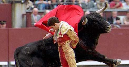 Le mythique torero espagnol José Tomas encorné par un taureau (VIDEO)