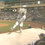 Une mascotte tombe de scène en pleine représentation (VIDEO)