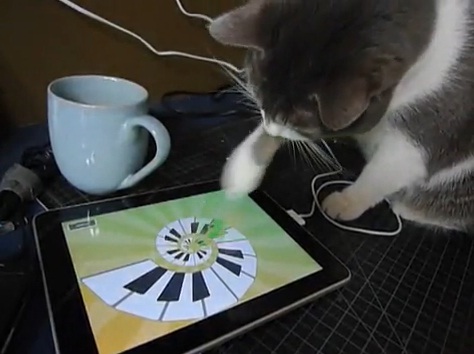 Un chat s’éclate avec l’iPad (VIDEO)
