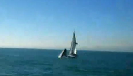 Une baleine attaque et détruit un voilier (VIDEO)