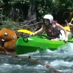 Rémi Gaillard en castor emmerde les kayakistes (VIDEO)