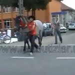 Ne jamais rester derrière un cheval (VIDEO)