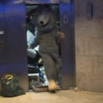 Rémi Gaillard – Rat 1 (VIDEO)