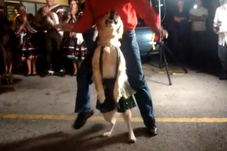Un chien qui danse probablement mieux que vous (VIDEO)