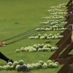 Elle se mange une pastèque en pleine poire (VIDEO)