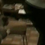 Son chien lui fait une blague de très mauvais goût (VIDEO)