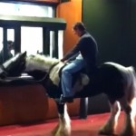 Un homme se rend au &laquo;&nbsp;McDrive&nbsp;&raquo; à cheval ! (VIDEO)