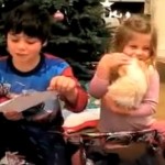 Des chiots comme cadeaux de Noël (VIDEO)