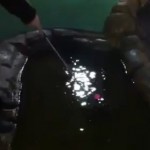 Mini golf : un putt de folie (VIDEO)