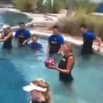 Un dauphin met un but au gardien du Barça (VIDEO)