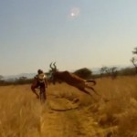 Un VTTiste percuté par une antilope (VIDEO)