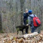 Un chien gâche sa demande en mariage ! (VIDEO)