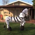 Dope Zebra (VIDEO)