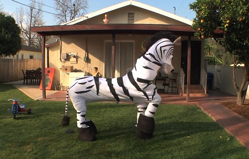 Dope Zebra (VIDEO)