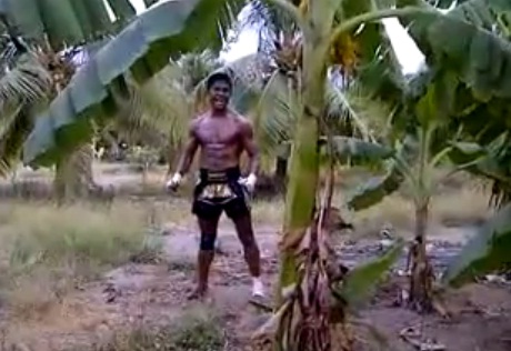 Homme vs Bananier (VIDEO)