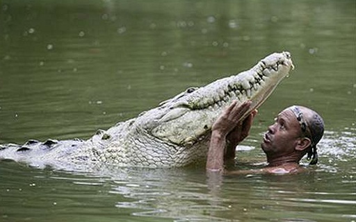 Zimbabwe : un homme castré par un crocodile